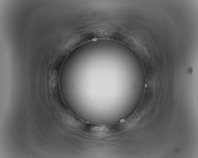 X0000097920133200803141449
