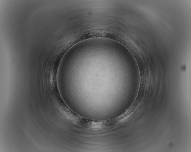 X0000097920134200803141449