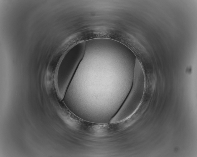X0000097920136200803141449