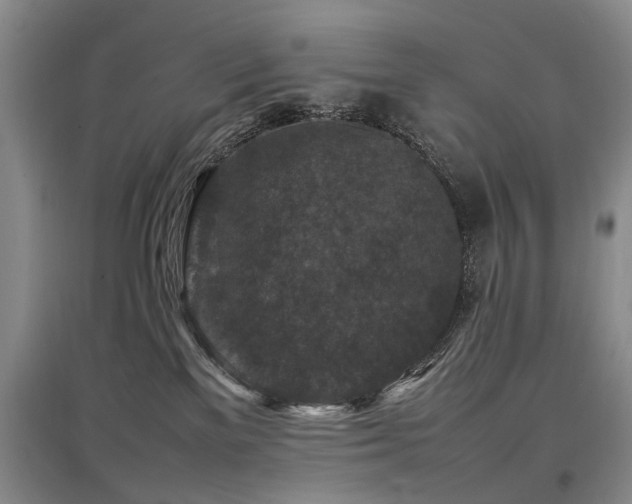 X0000097920137200803141449