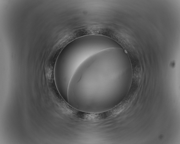 X0000097920139200803141449