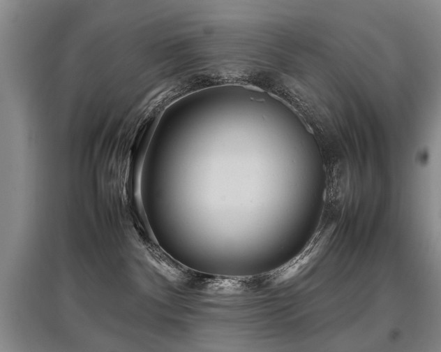 X0000097920140200803141449