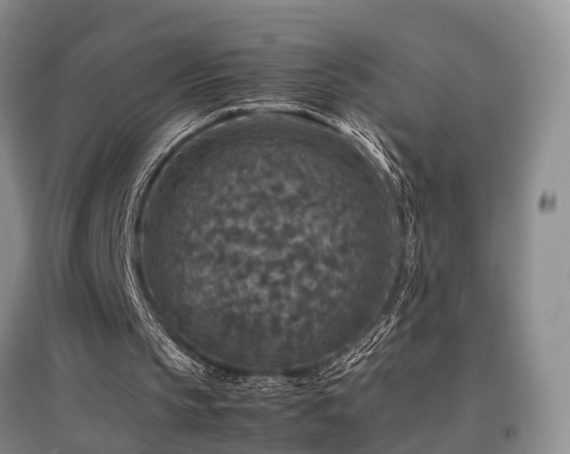 X0000097920145200803141448