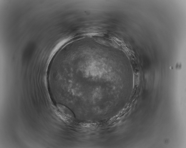 X0000097920147200803141448
