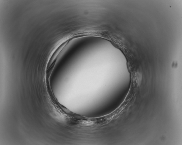 X0000097920148200803141449