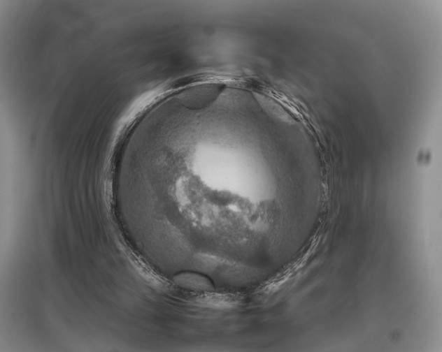 X0000097920149200803141449