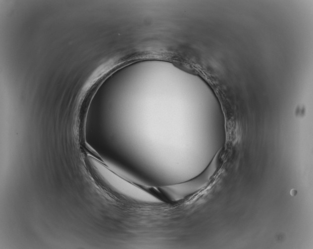 X0000097920150200803141449