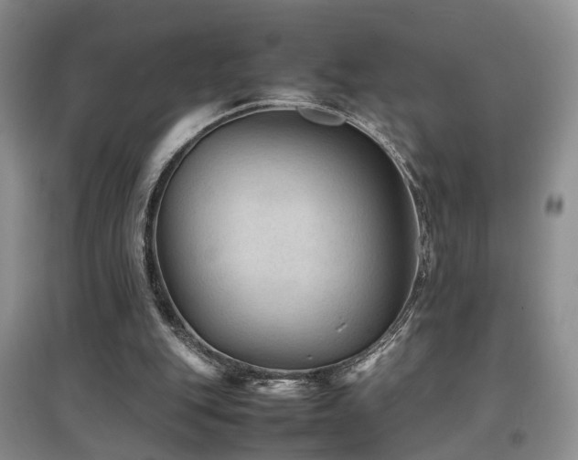 X0000097920151200803141449