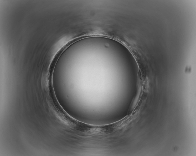 X0000097920152200803141449