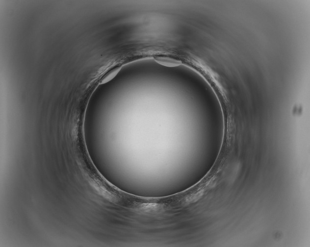 X0000097920153200803141449