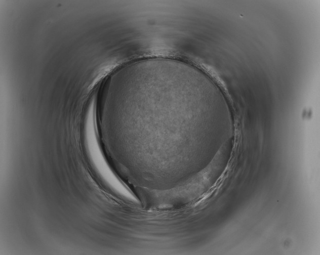 X0000097920154200803141449
