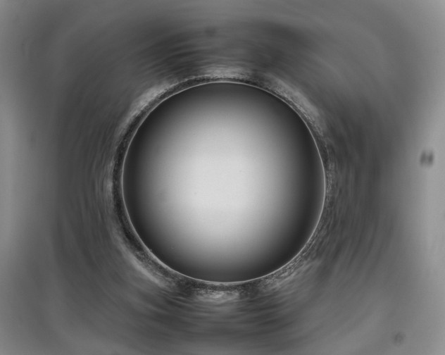 X0000097920155200803141449