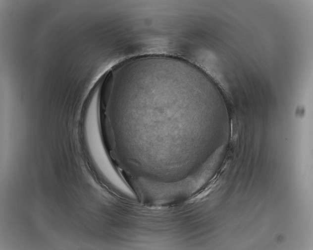 X0000097920156200803141449