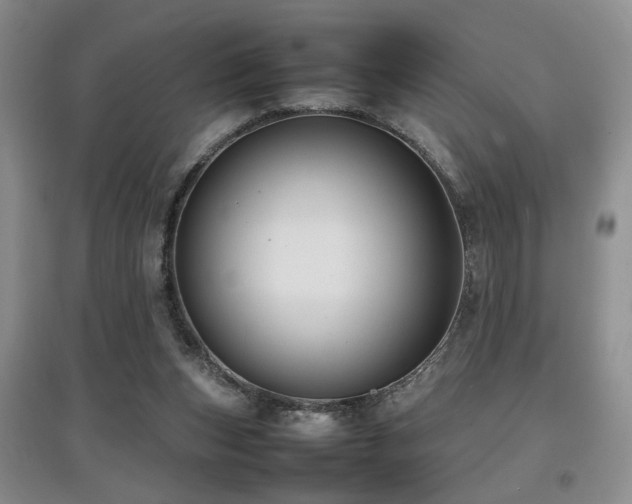 X0000097920159200803141449