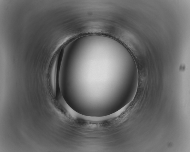 X0000097920160200803141449
