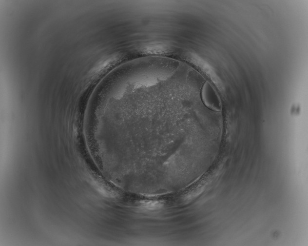 X0000097920161200803141449