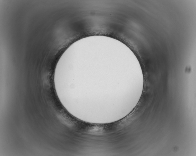 X0000097920162200803141449