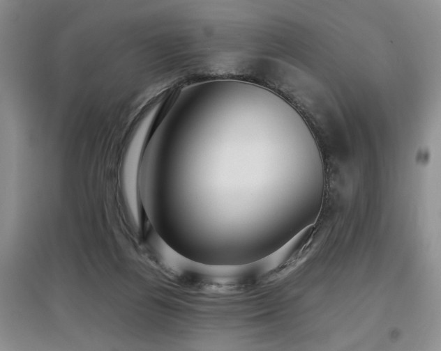 X0000097920164200803141449