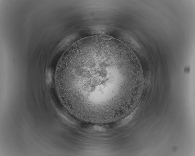 X0000097920166200803141449