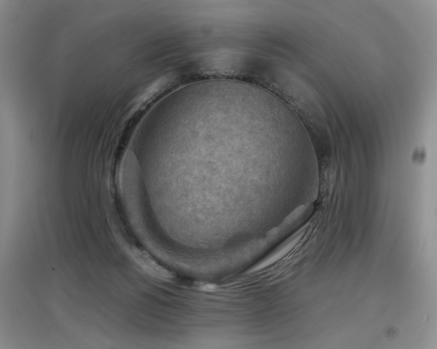X0000097920168200803141449