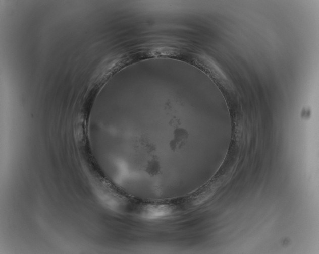 X0000097920169200803141449