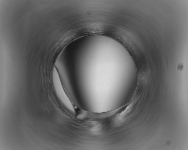 X0000097920170200803141449