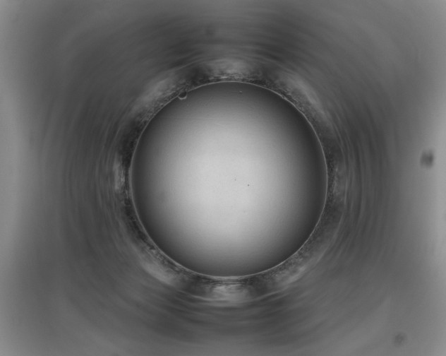 X0000097920173200803141449