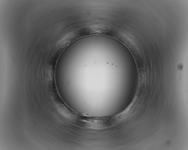 X0000097920174200803141449