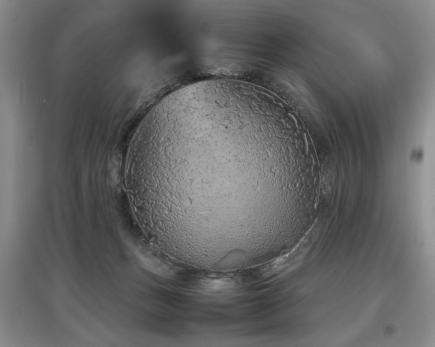 X0000097920175200803141449