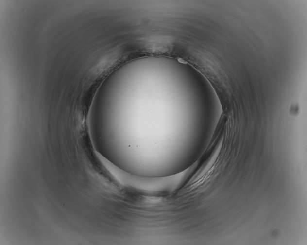 X0000097920176200803141449