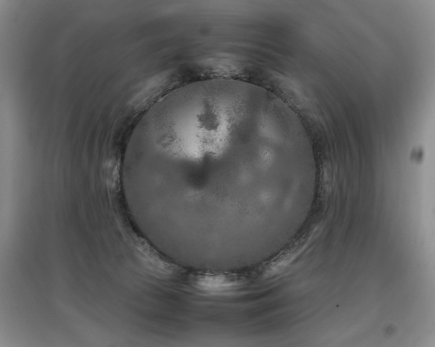 X0000097920177200803141449