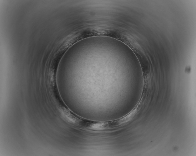 X0000097920178200803141449