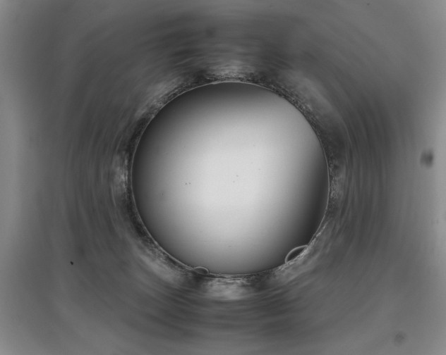 X0000097920179200803141449