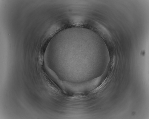 X0000097920180200803141449