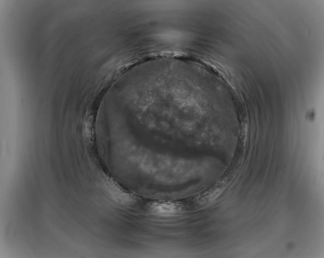 X0000097920181200803141449