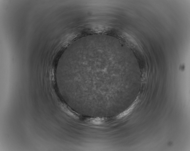 X0000097920182200803141449
