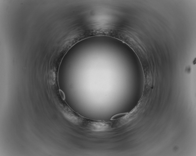 X0000097920183200803141449
