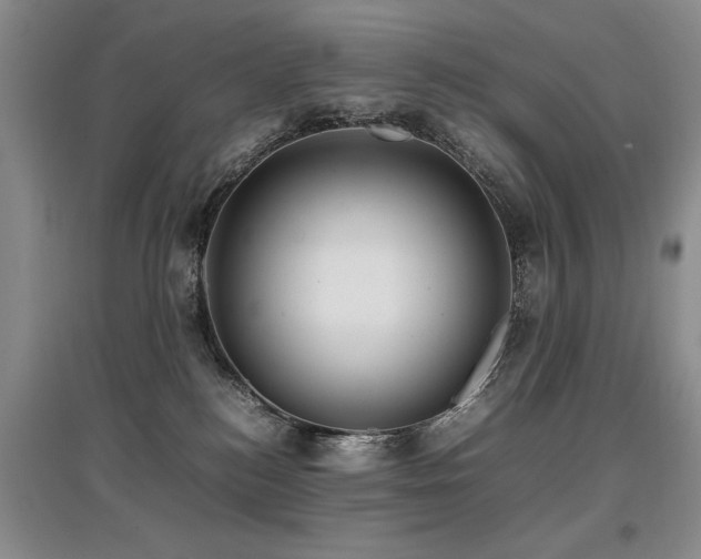 X0000097920184200803141449