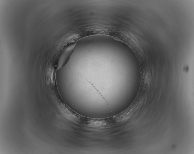 X0000097920185200803141449