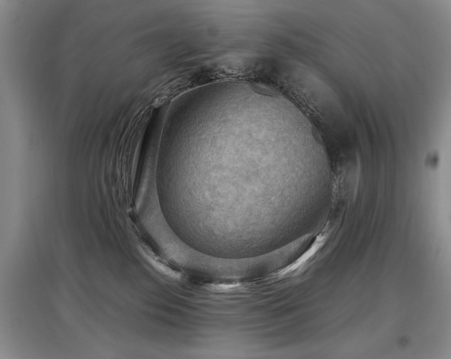 X0000097920186200803141449