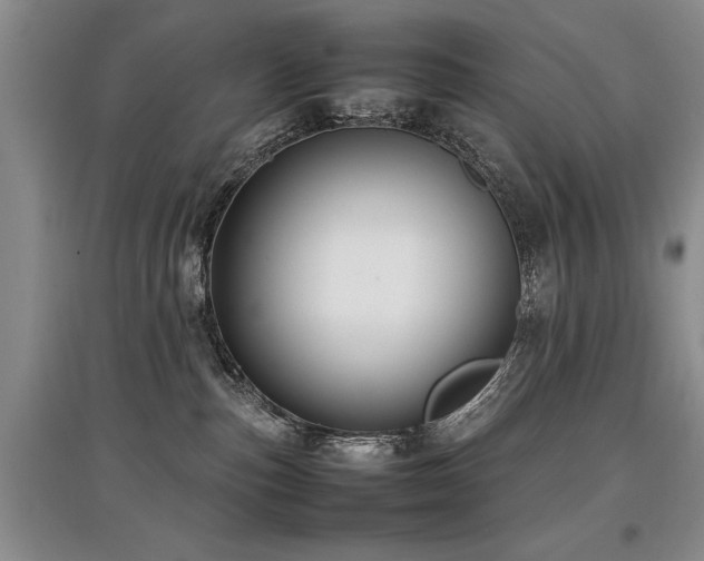 X0000097920187200803141449