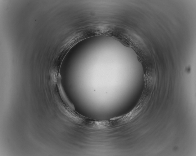 X0000097920188200803141449