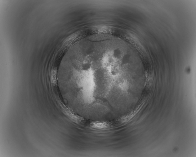 X0000097920189200803141449