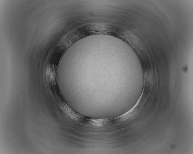 X0000097920190200803141449