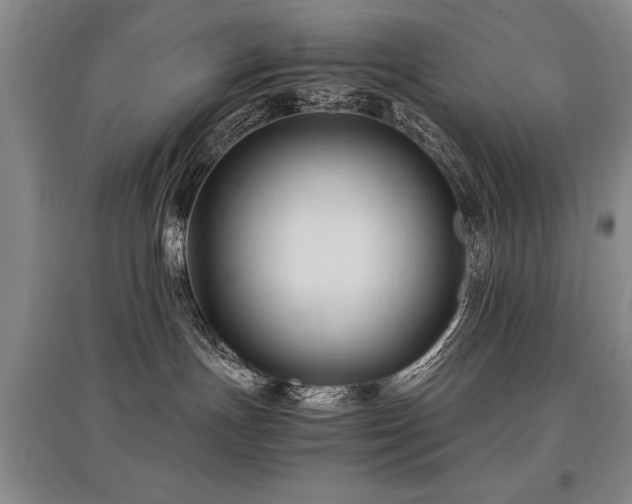 X0000097920191200803141449