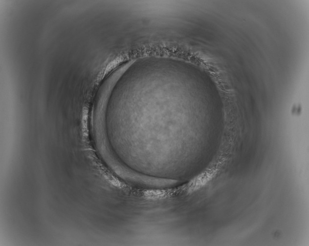 X0000097920192200803141449