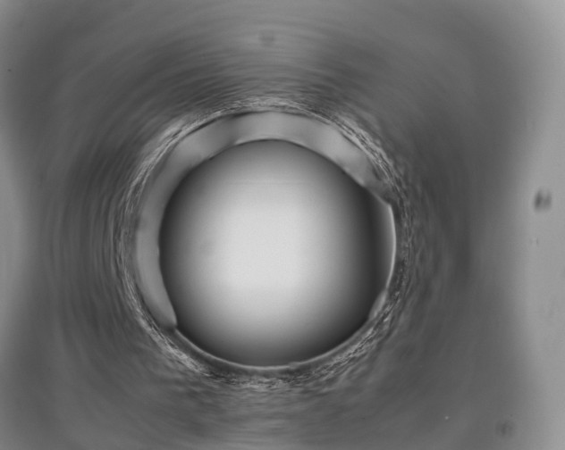 X0000097920193200803141448