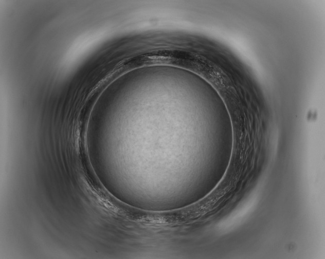 X0000097920194200803141448