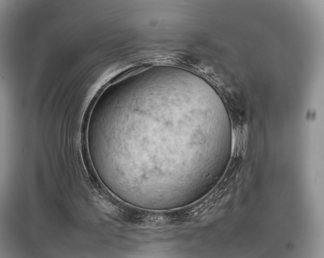 X0000097920195200803141448