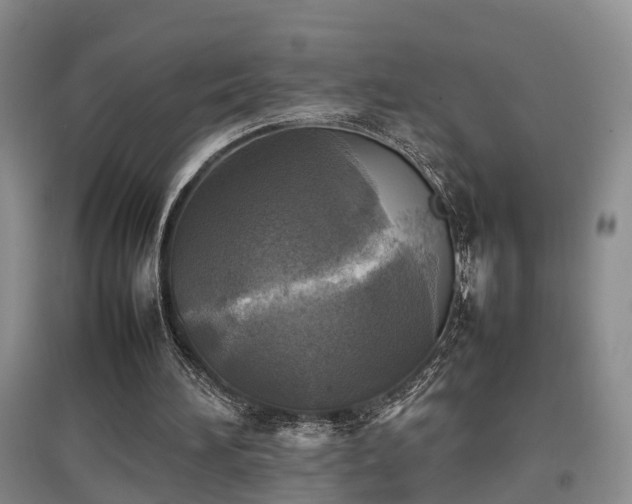 X0000097920196200803141448